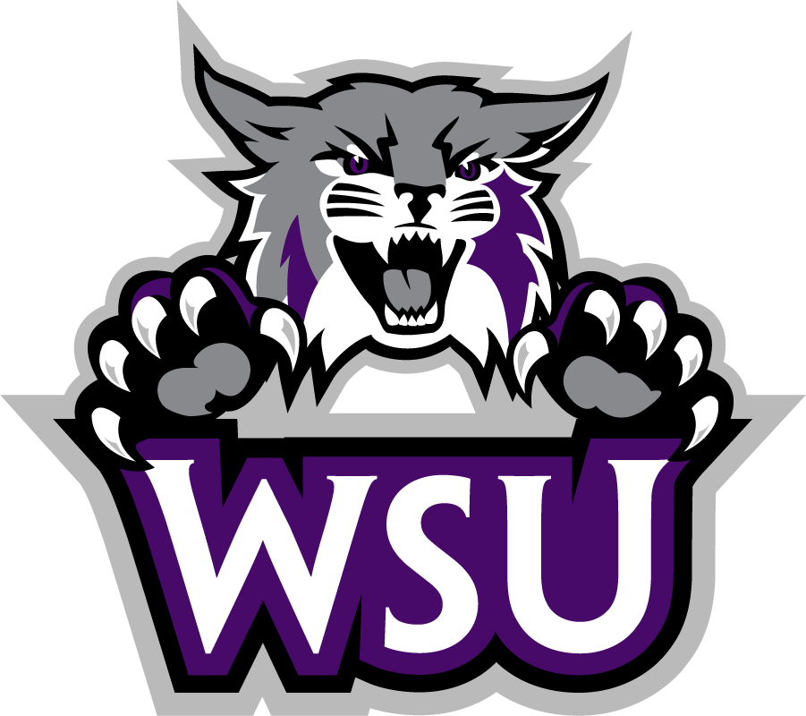 Weber State Wildcats 2012-Pres Secondary Logo iron on transfers for T-shirts